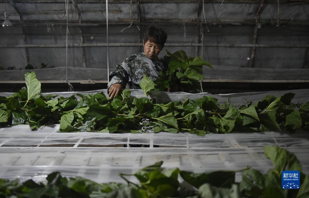 捕鱼送18版现金